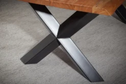 Esstisch mit Baumkante 200x100cm 'Pinta' Altholz & X-Fuß