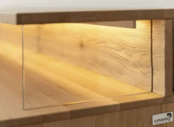 TV Element 200cm 'Triest' Wildeiche massiv Glas