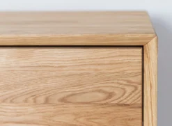 TV Element 200x50cm 'Jannik' Wildeiche massiv 2 Türen 1x Holz / 1x Glas