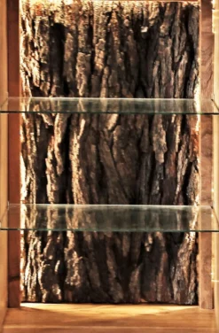 Vitrine inkl.Beleuchtung 88x180cm 'Sadar' Akazie massiv