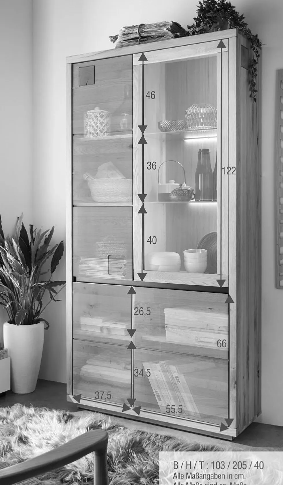 Vitrine 103x205cm "Bergamo" Wildeiche geölt WZ-0159
