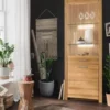Vitrine 65x204cm "Dover" Wildeiche geölt WZ-0169