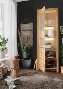 Vitrine 65x204cm 