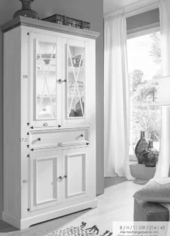 Vitrine 109x214cm 